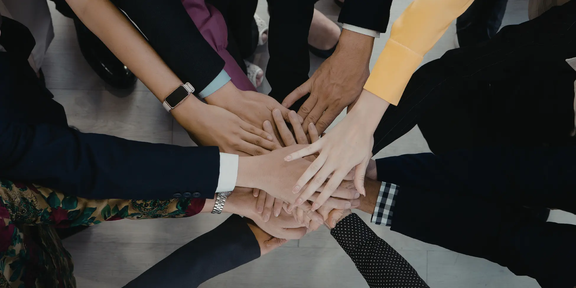 Team Alignment & Adoption